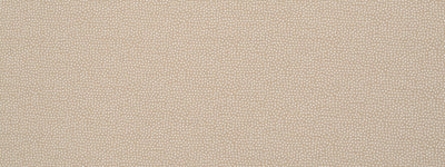 ROBERT ALLEN FABRICS-FLICKER BK -SAND