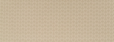ROBERT ALLEN FABRICS-FRETLEY -SANDSTONE