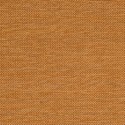 ROBERT ALLEN FABRICS-MIRROR LINE -OCHRE