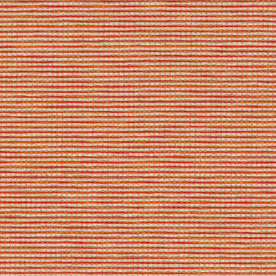 ROBERT ALLEN FABRICS-MIRROR LINE -FLAME