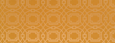 ROBERT ALLEN FABRICS-SOTO -GOLDENROD