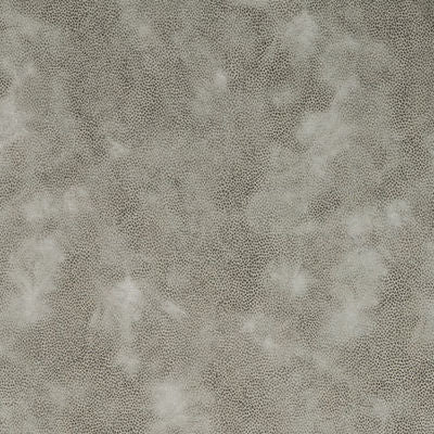 ROBERT ALLEN FABRICS-OXIDIZE -ABALONE