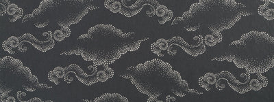 ROBERT ALLEN FABRICS-CLOUDBURST -GRAPHITE