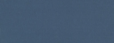 ROBERT ALLEN FABRICS-LINEN ENDURE -MUSSELSHELL