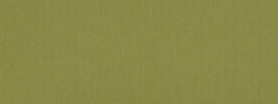 ROBERT ALLEN FABRICS-LINEN ENDURE -SPRINGGRASS