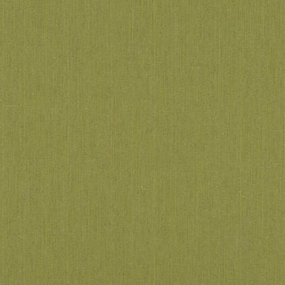 ROBERT ALLEN FABRICS-LINEN ENDURE -SPRINGGRASS