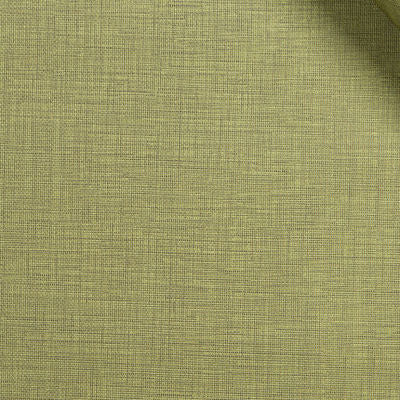 ROBERT ALLEN FABRICS-GIST -EDAMAME
