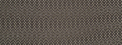 ROBERT ALLEN FABRICS-TRELLIUM -SLATE