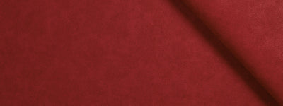 ROBERT ALLEN FABRICS-T REX -SCARLET