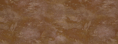 ROBERT ALLEN FABRICS-SKYWALKER -COPPER