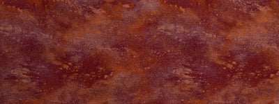 ROBERT ALLEN FABRICS-SKYWALKER -SUNSET