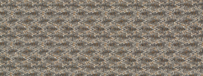 ROBERT ALLEN FABRICS-BAMENDA -TERRAIN