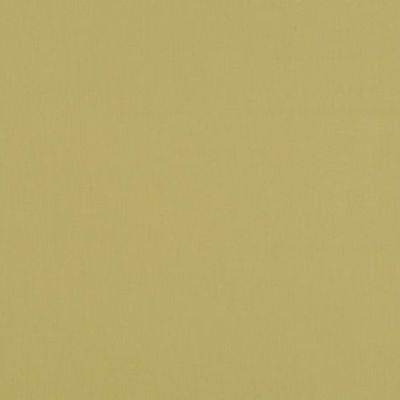 ROBERT ALLEN FABRICS-STELLAR SOLID -IVY