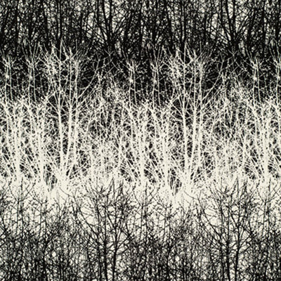 SCHUMACHER FABRICS -2644021-BIRCHES