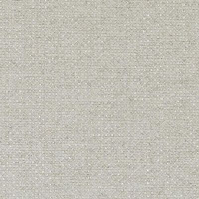BAILEY & GRIFFIN FABRICS-BU15829 -118-LINEN