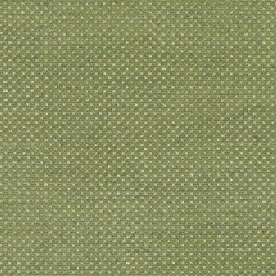 BAILEY & GRIFFIN FABRICS-BU15829 -399-PISTACHIO