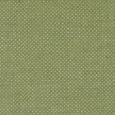 BAILEY & GRIFFIN FABRICS-BU15829 -399-PISTACHIO