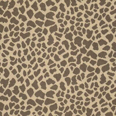 KRAVET BASICS - DAKTARI - LEOPARD