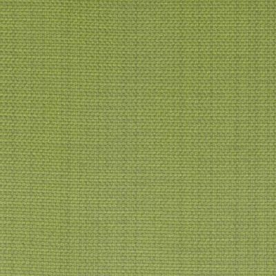 DURALEE FABRICS-DW16172 -2-GREEN