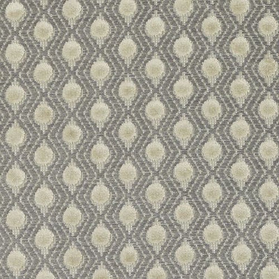 BAILEY & GRIFFIN FABRICS-BU15831 -159-DOVE