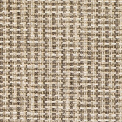 BAILEY & GRIFFIN FABRICS-BU16147 -155-MOCHA