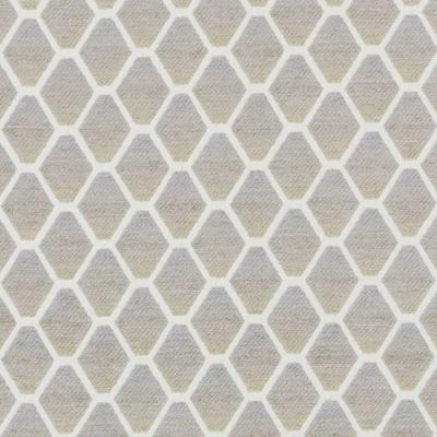BAILEY & GRIFFIN FABRICS-190238H -160-MUSHROOM