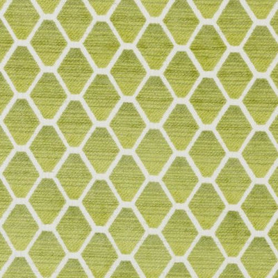 BAILEY & GRIFFIN FABRICS-190238H -554-KIWI