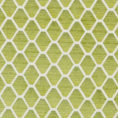 BAILEY & GRIFFIN FABRICS-190238H -554-KIWI