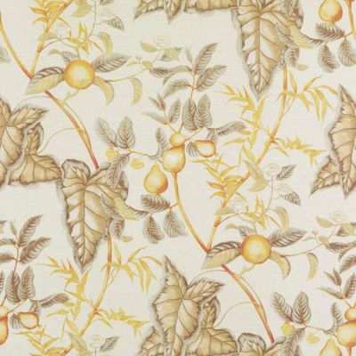 BAILEY & GRIFFIN FABRICS-200013H -60-NATURAL/GOLD