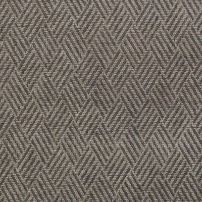 BAILEY & GRIFFIN FABRICS-BU16148 -174-GRAPHITE