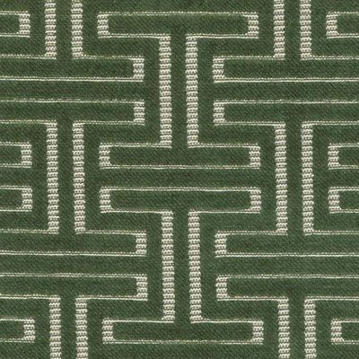 BAILEY & GRIFFIN FABRICS-BU15837 -341-IVY