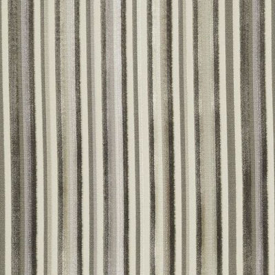 HIGHLAND COURT FABRICS-HV15977 -88-CHAMPAGNE