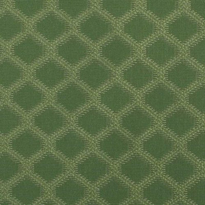 DURALEE FABRICS-15578 -597-GRASS