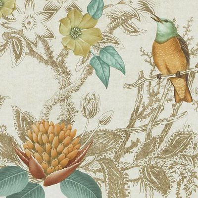 BAILEY & GRIFFIN FABRICS-BE42518 -684-TERRA/SAGE