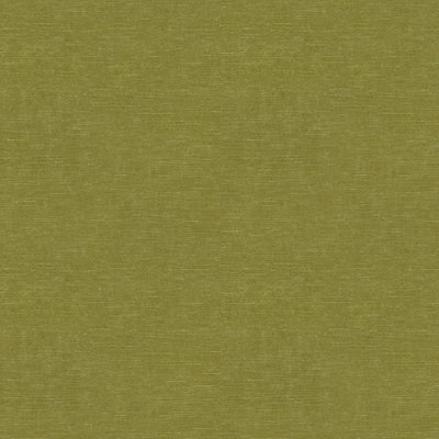 KRAVET DESIGN - VENETIAN - MOSS