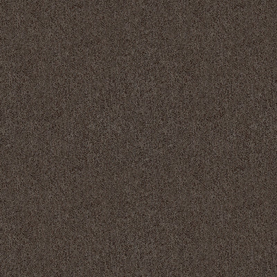 Kravet Fabrics, a selection of fabrics such as velvet, damask, cotton, silk, linen and sheers.