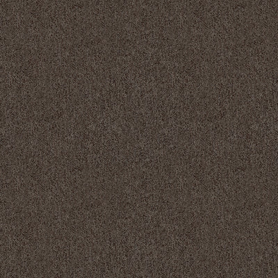 KRAVET BASICS - 31779-11