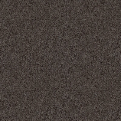 KRAVET BASICS - 31779-811