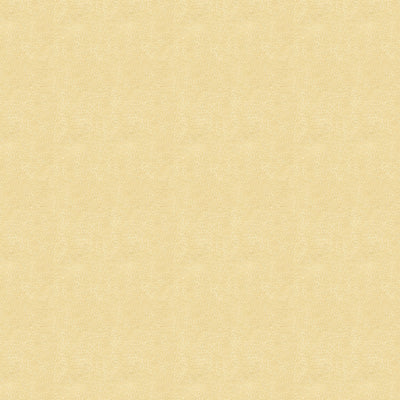 KRAVET BASICS - BACI - PEARL