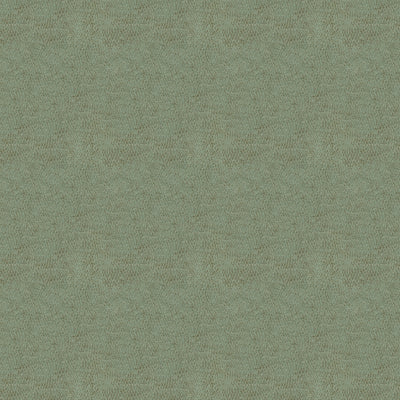 KRAVET BASICS - BACI - LIQUID
