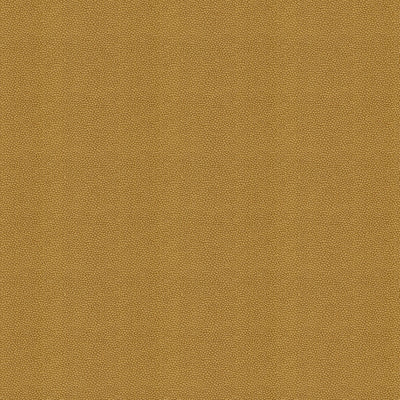 KRAVET FABRICS - IZZIE - GOLD RUSH