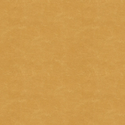 KRAVET BASICS-SHOOTING STAR-4