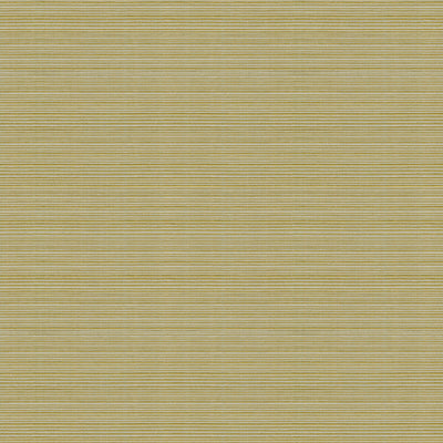 KRAVET BASICS-CAMPANIA-3