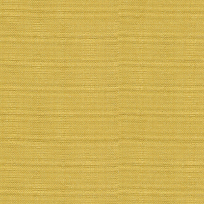 KRAVET FABRICS - WINK - SUNFLOWER