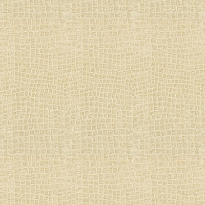 KRAVET FABRICS - FINNIAN - COCONUT