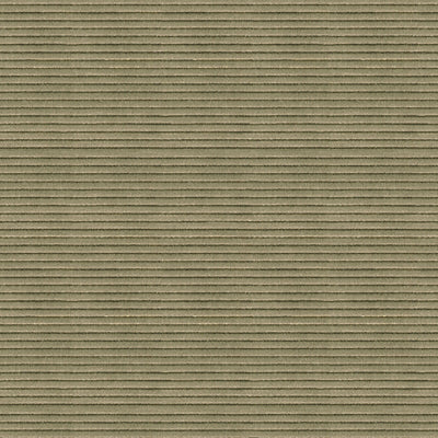 KRAVET COUTURE-BOUNDARIES-616