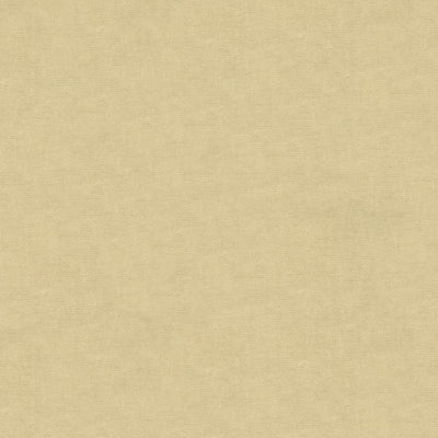BRUNSCHWIG & FILS - CHARMANT VELVET - ECRU