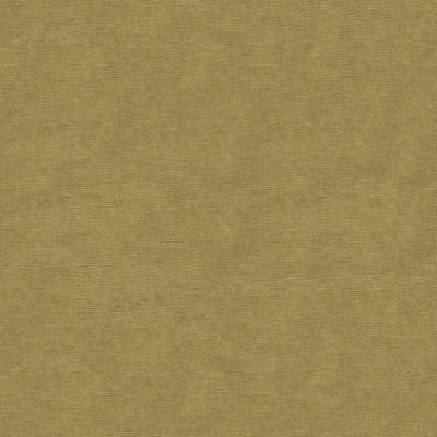 BRUNSCHWIG & FILS - CHARMANT VELVET - DRIFTWOOD