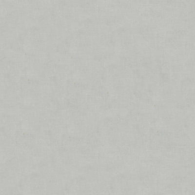 BRUNSCHWIG & FILS - CHARMANT VELVET - SILVER