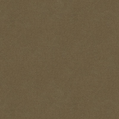 BRUNSCHWIG & FILS - CHEVALIER WOOL - TAUPE